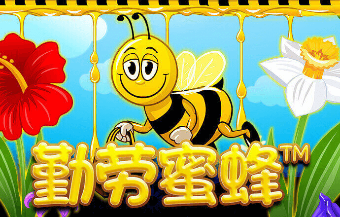 85体育平台下载